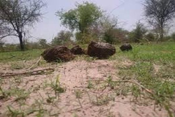 Espaces Naturels et Paysages de Kalfou